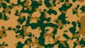 Camouflage - Sandbusch