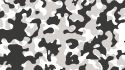 (1513) Camouflage - Winterschnee
