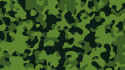 → Camouflage Autofolie - Wald (grün-schwarzes Muster)