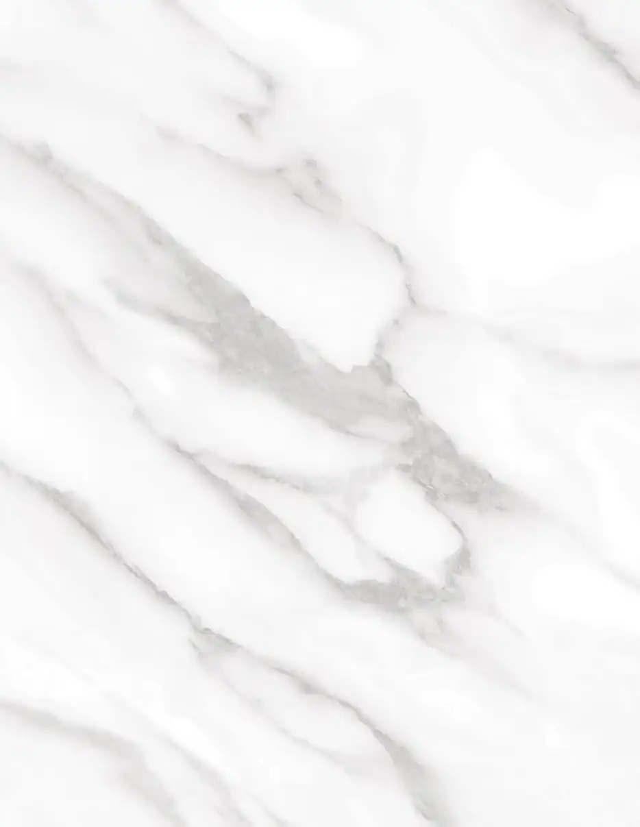 (2369) HR - NE31 Statuary White - (Matt)