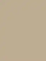 (1930) NE55 - Caffe Latte - (Matt)