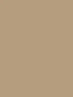 (1930) NE55 - Caffe Latte - (Matt)