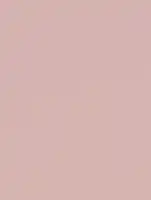 (1935) NF03 - Dusty Rose - (Matt)