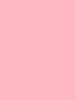 NF07 - Pink Flamingo