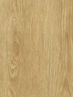 NF34 - Tan Oak