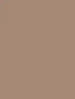 (2255) NH12 - Baked Clay - (Matt)