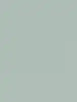 (1944) NH21 - Soft Green - (Matt)