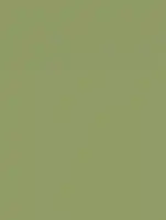 (1967) RM19 - Olive - (Matt)