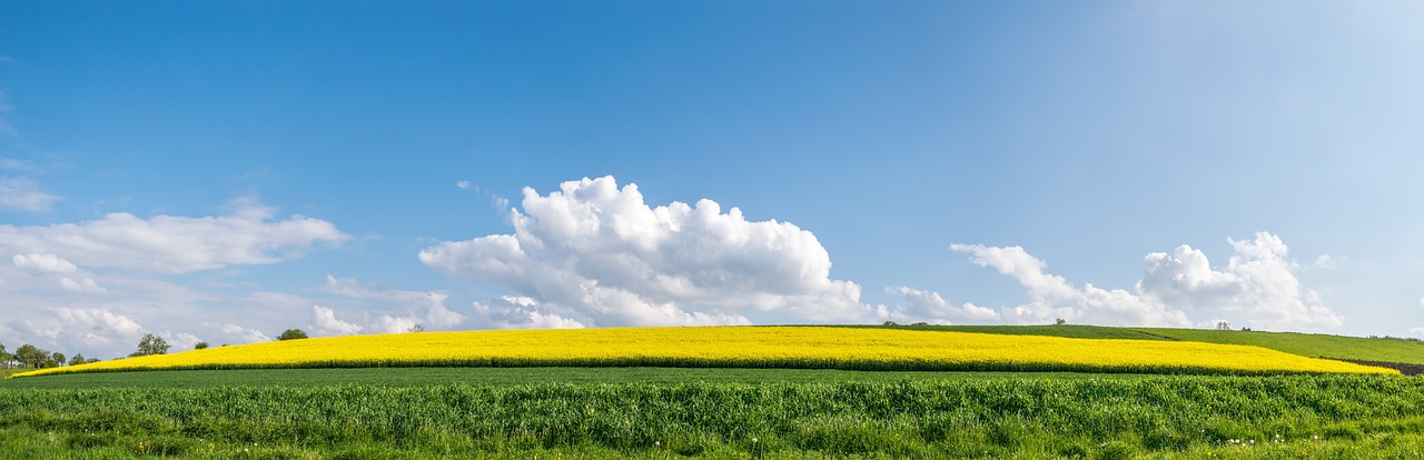 Wir sind den ganzen Sommer für Sie da